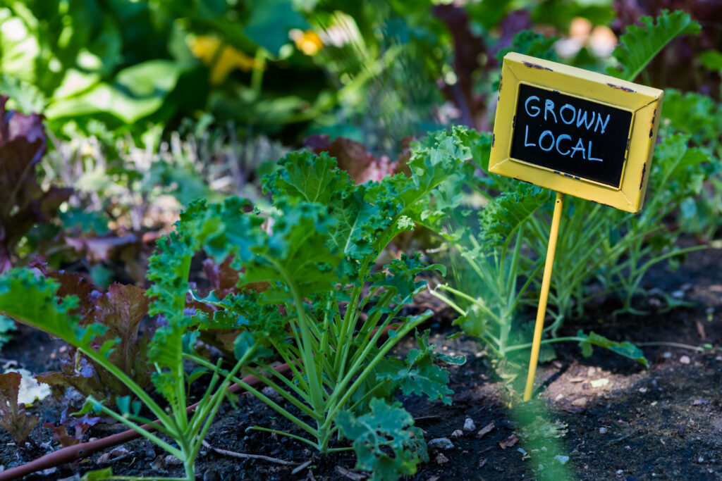 A picture of. Sustainable flower bed with a yellow sign that says "Grow Local"